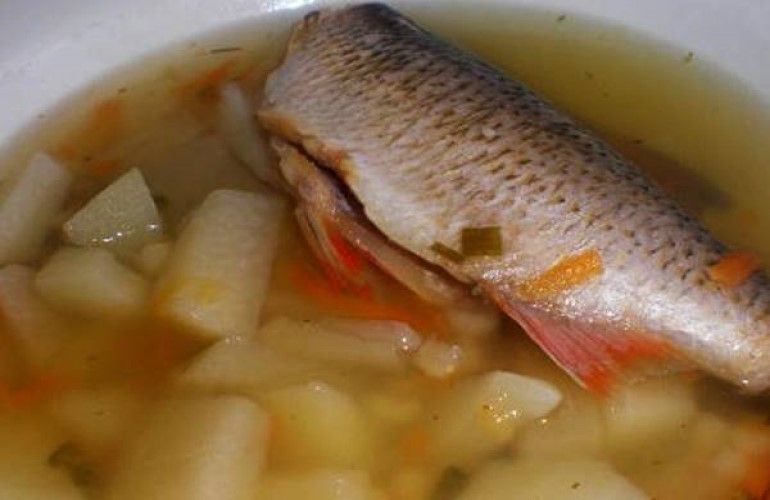 Уха из речной рыбы в домашних условиях рецепт с фото как приготовить-2